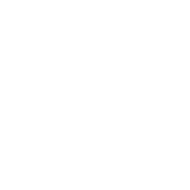 CONMEBOL Libertadores